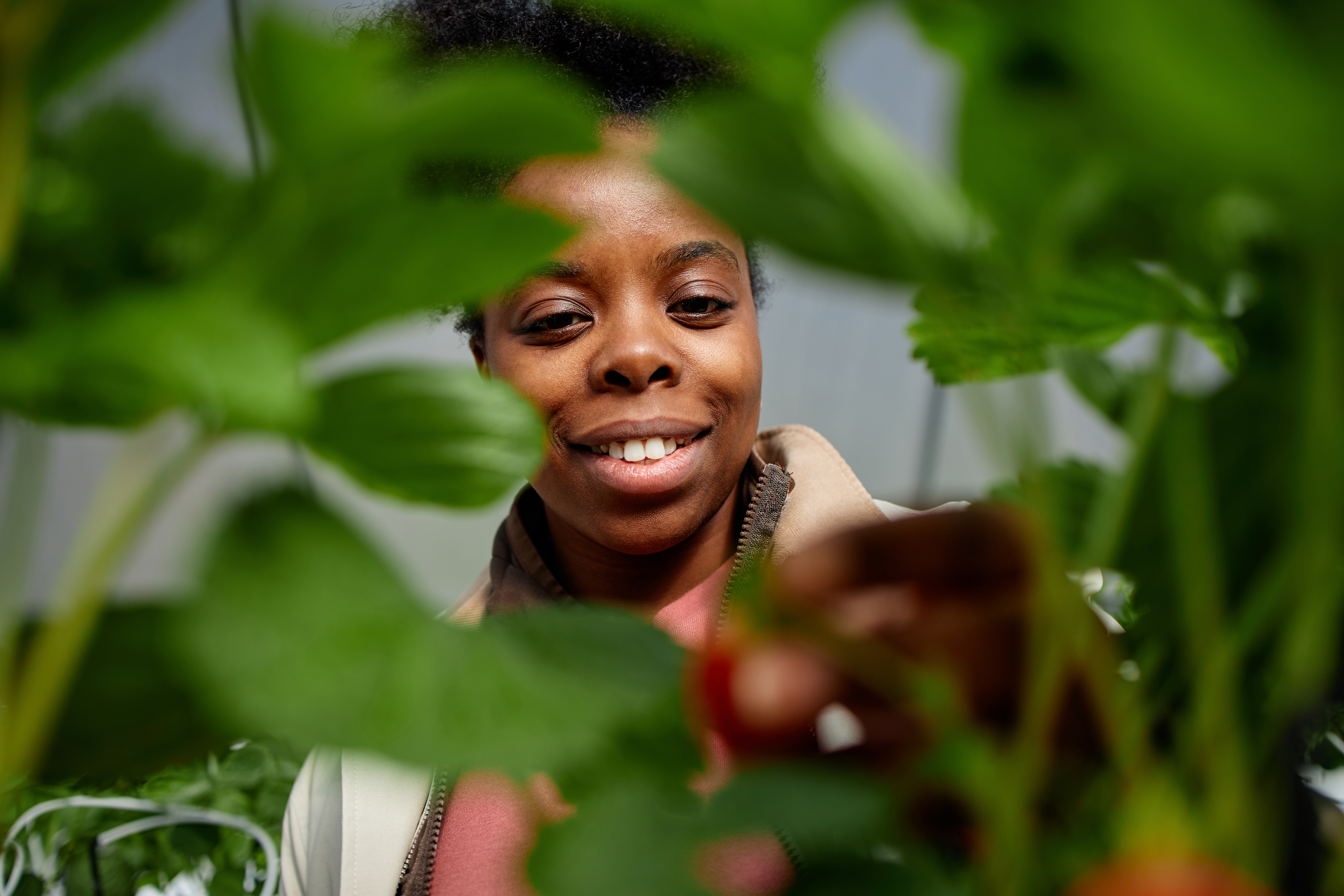 Urban agriculture opportunity